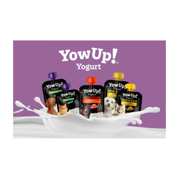 YowUp Dog -  yogurt